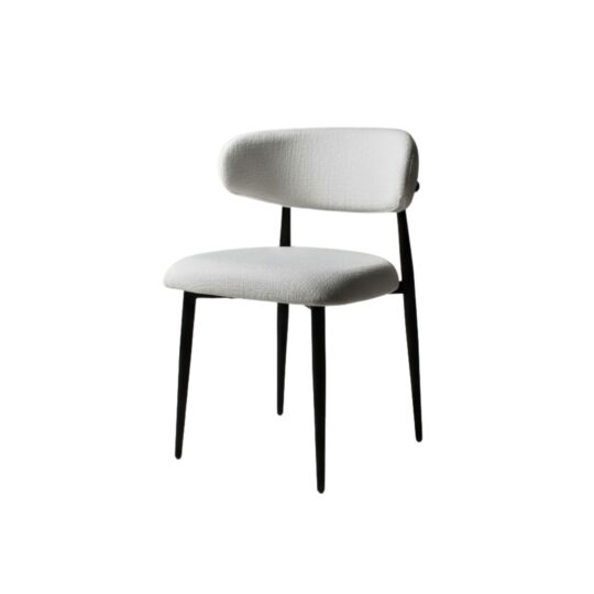 Modern Dining Chair