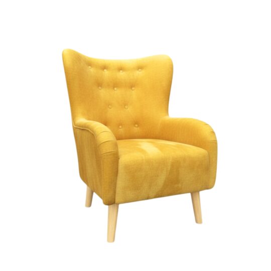 Modern Upholstered Lounge Chair